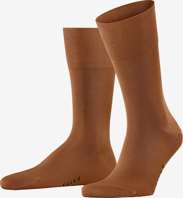FALKE Socken 'Tiago' in Braun: Vorderseite