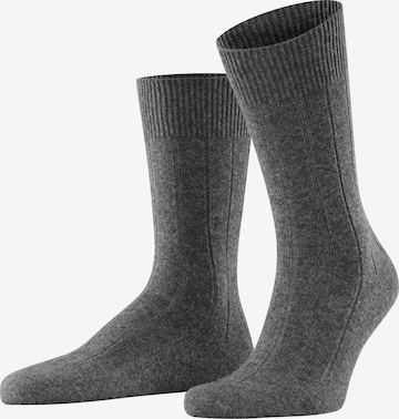 FALKE Socks 'Lhasa Rib' in Grey: front