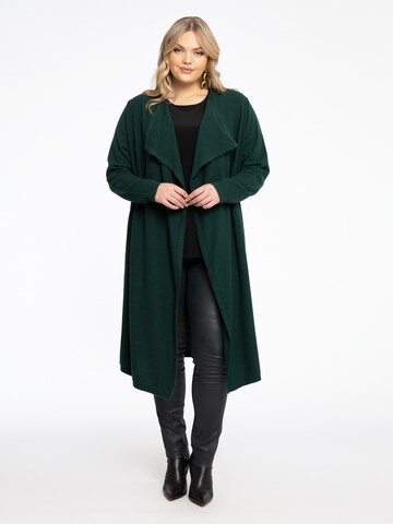 Yoek Knit Cardigan in Green