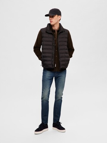 SELECTED HOMME Bodywarmer 'Barry' in Zwart