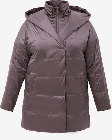 Finn Flare Between-season jacket in Grey: front