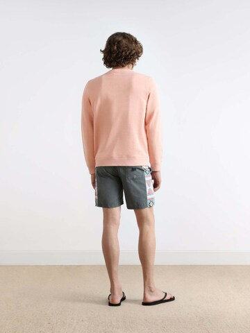 Scalpers Badeshorts 'Utah' in Grau