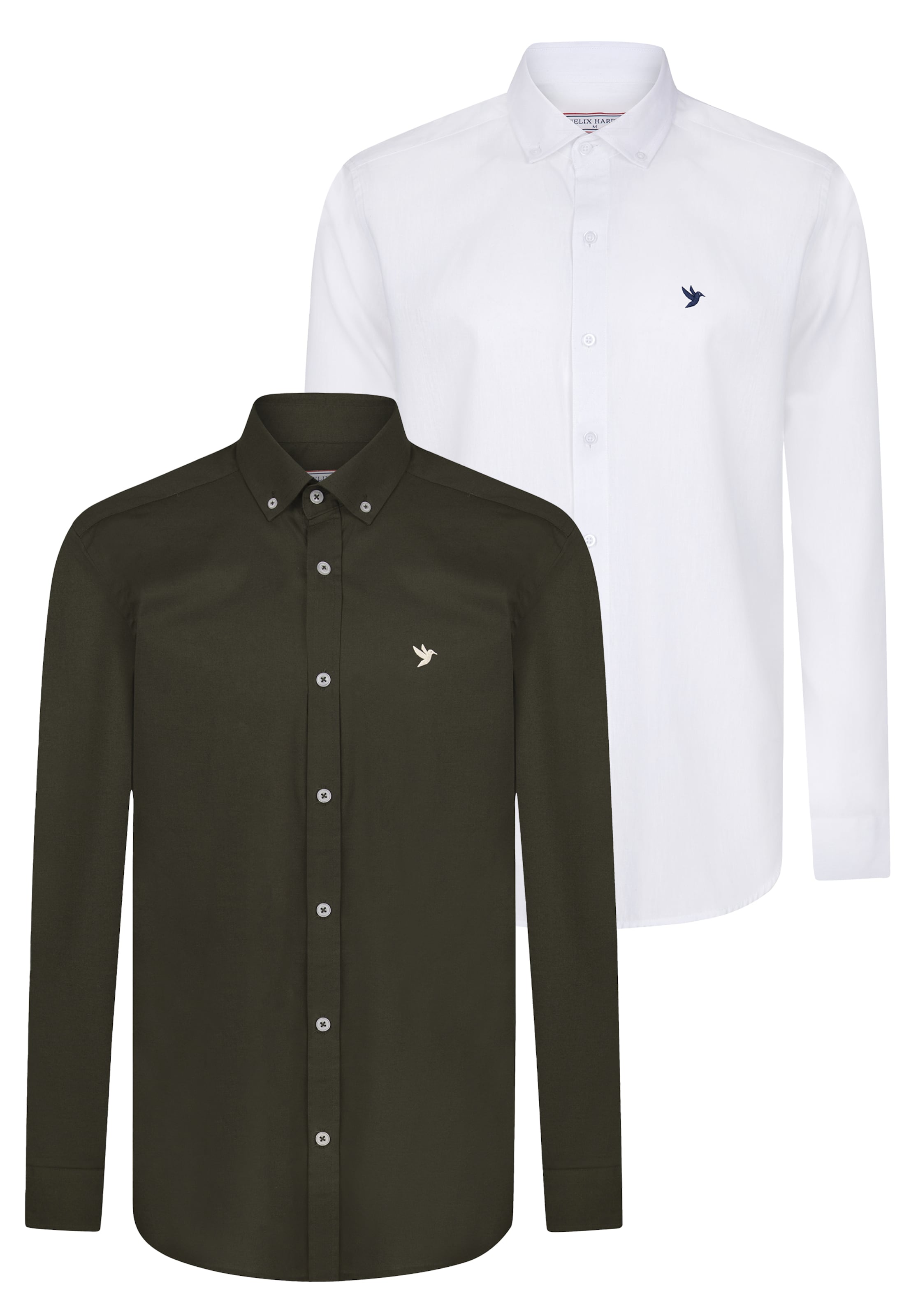 Felix Hardy Regular fit Πουκάμισο σε πράσινο: μπροστά