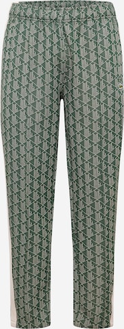 LACOSTE Normální Kalhoty – zelená: přední strana