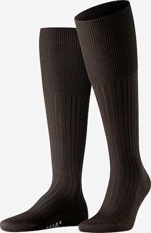 FALKE Knee High Socks 'Bristol Pure' in Brown: front