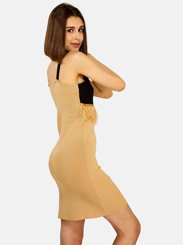 TOOche Dress 'Federkleid' in Brown