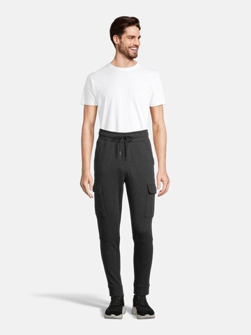 Effilé Pantalon cargo 'HYBRID' AÉROPOSTALE en gris