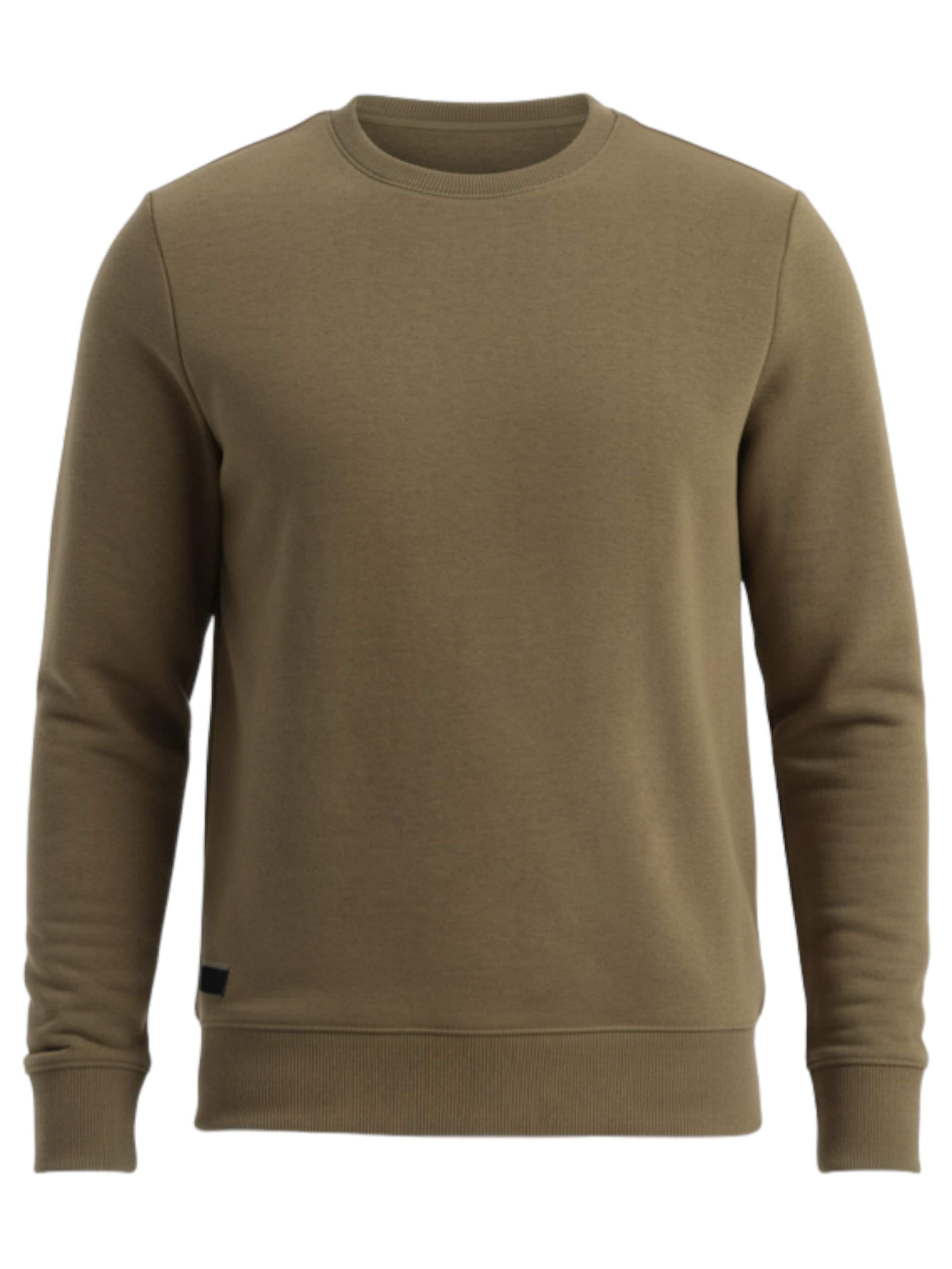 Sweat-shirt 'OM-SSBN-0159' Ombre en vert : devant