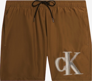 Calvin Klein Swimwear Board Shorts in Brown: front