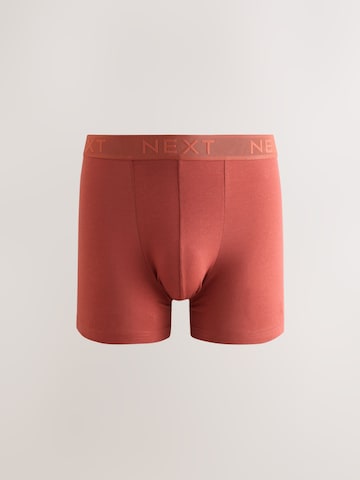 Next Boxershorts in Mischfarben