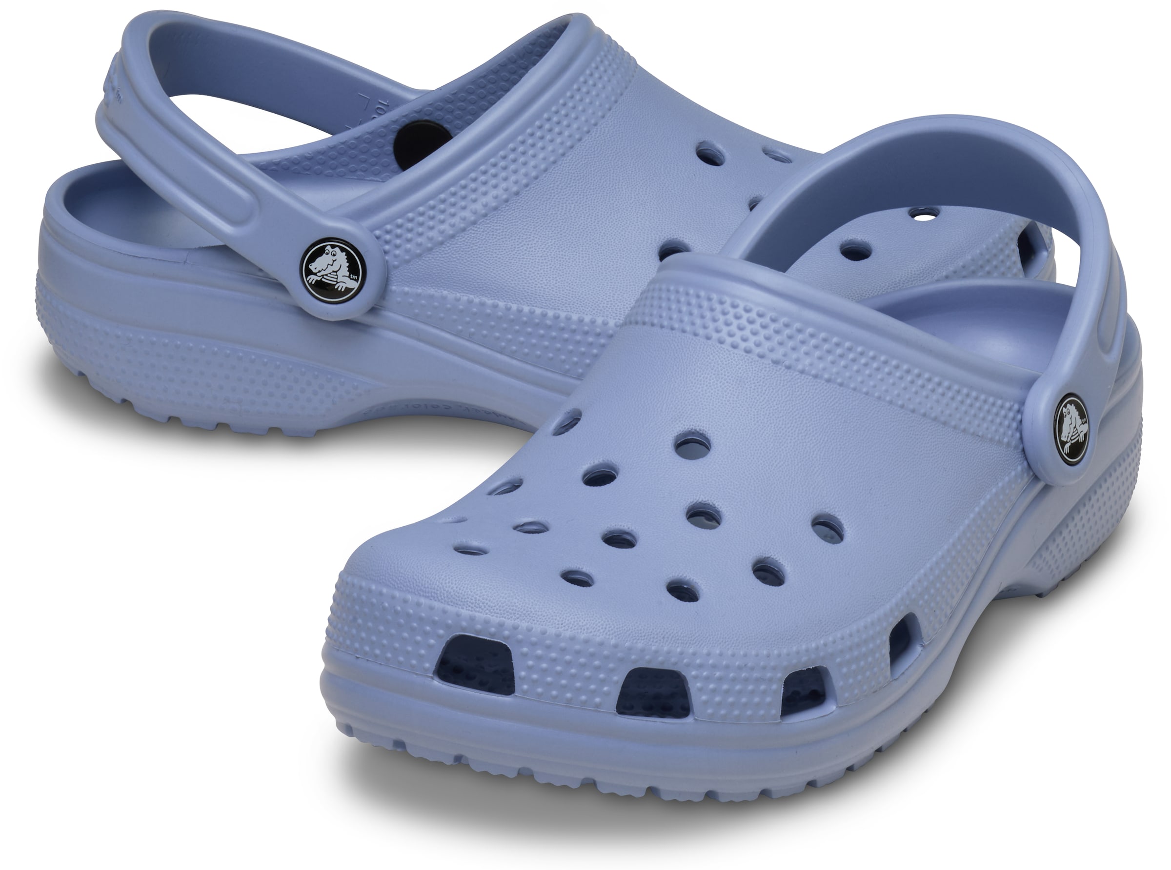 Crocs Clogs in Blue