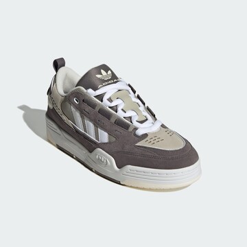 ADIDAS ORIGINALS Σνίκερ χαμηλό 'Adi2000' σε καφέ