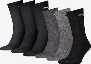 PUMA Socks in Mixed colors: front