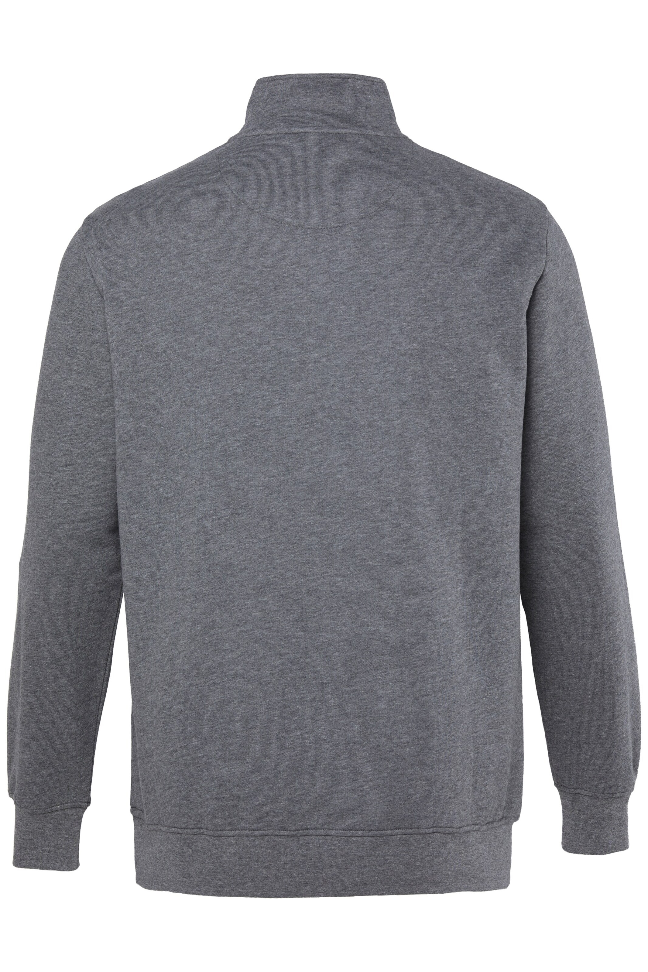 Men Plus Sweatshirt in Grey