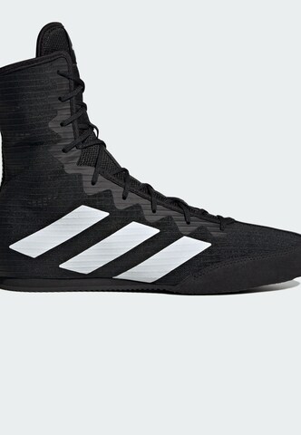 Chaussure de sport 'Box Hog 4' ADIDAS PERFORMANCE en noir