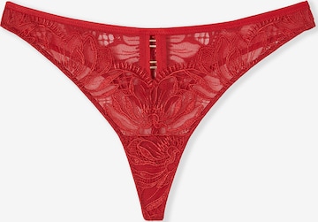 String 'Wild Night' di ETAM in rosso: frontale