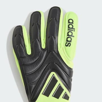 ADIDAS PERFORMANCE Sports gloves 'Copa Pro' in Green