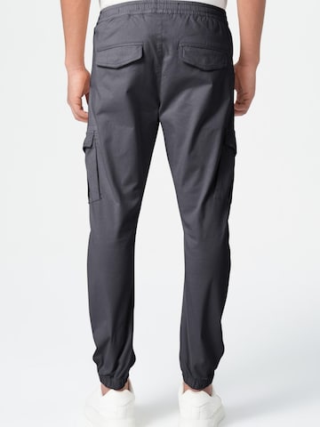 Coupe slim Pantalon cargo M.O.D MIRACLE OF DENIM en gris