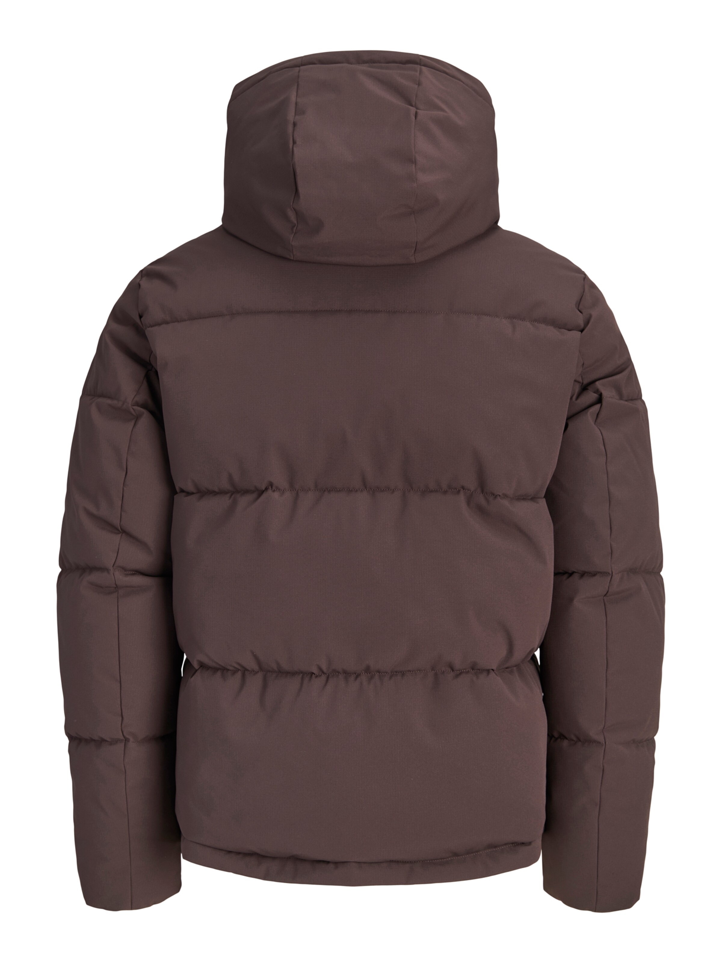 Jack & Jones Plus Zimná bunda 'JJGALAXY' - Hnedá