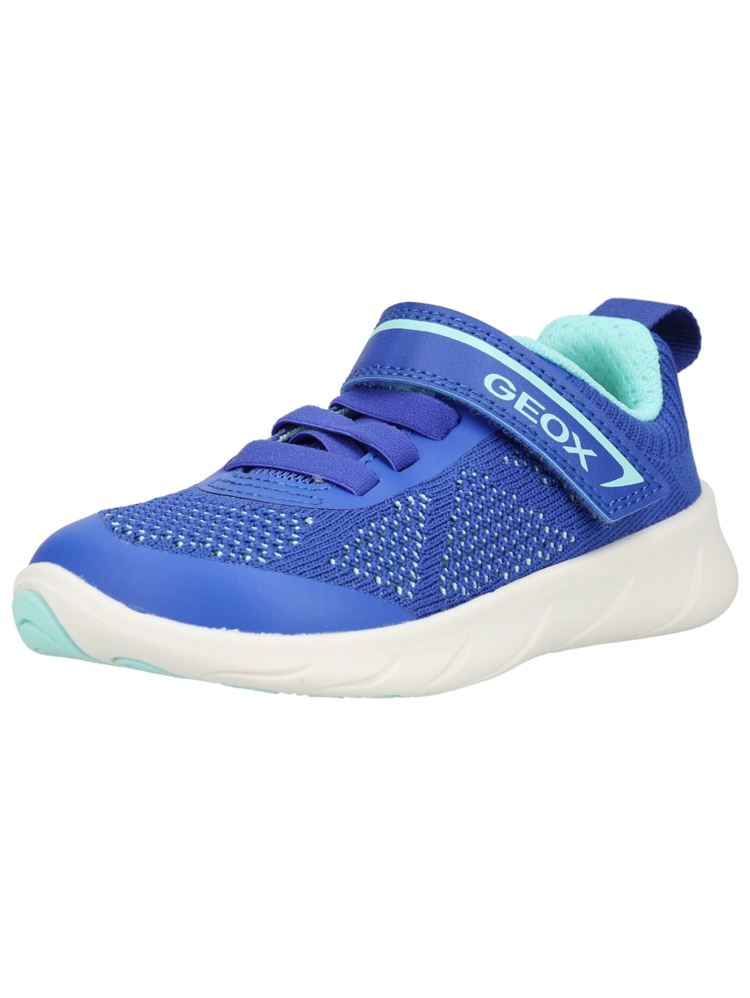 Baskets GEOX en bleu : devant