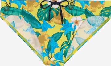 HOM Swim Mini Briefs ' Tropicana ' in Gelb: predná strana