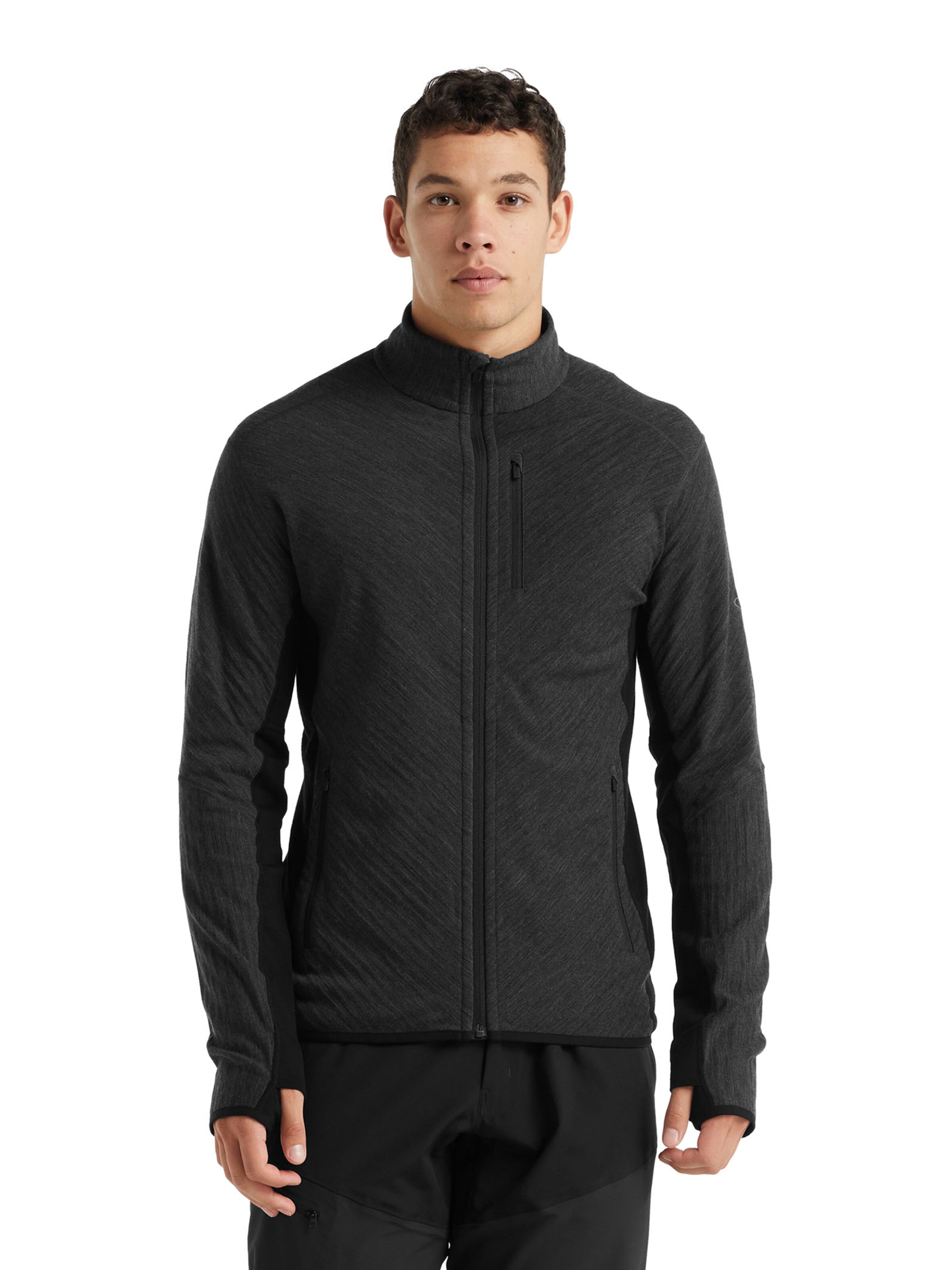 ICEBREAKER Athletic Fleece Jacket 'Descender' in Grey: front