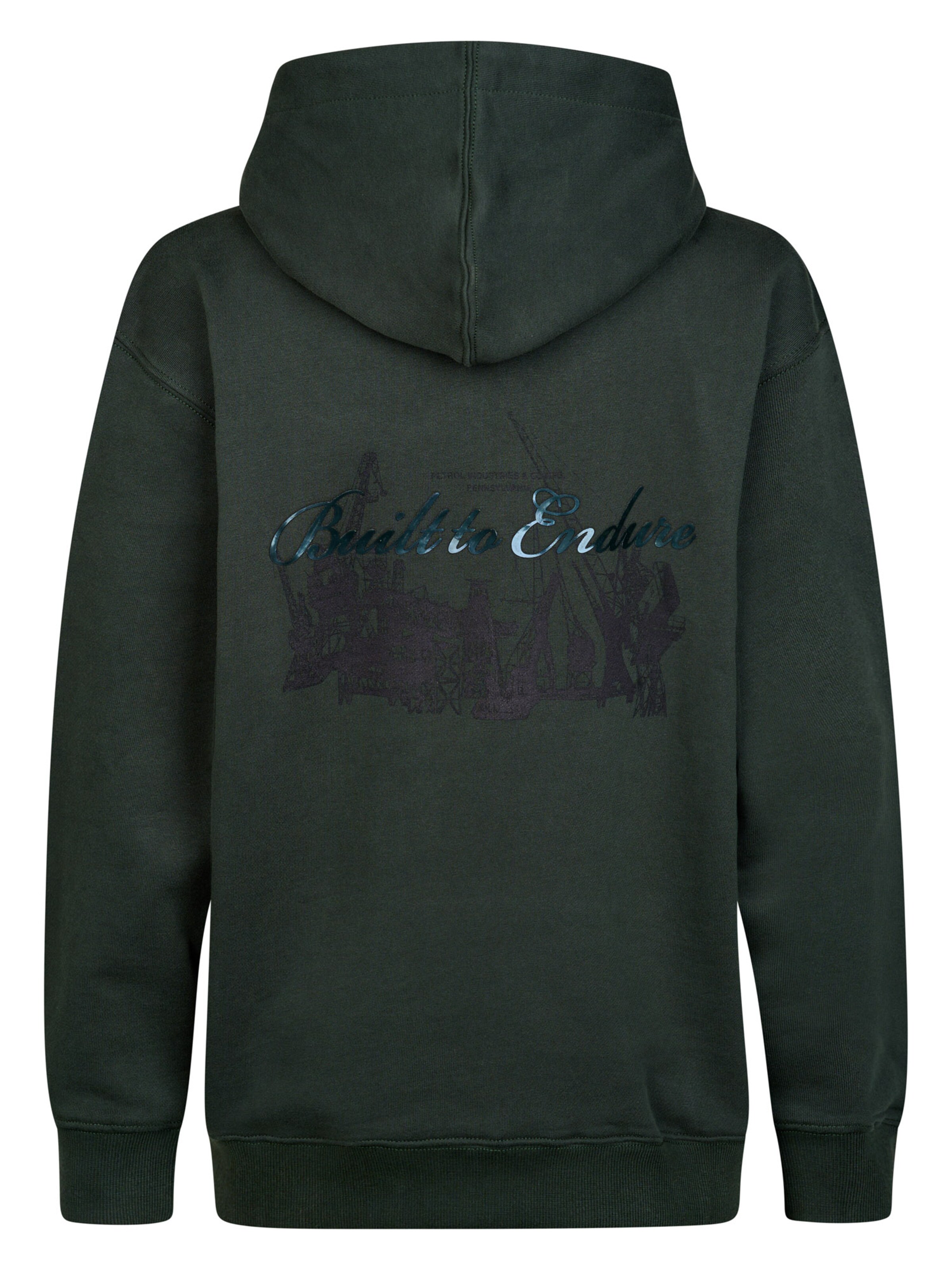 Petrol Industries Sweatshirt in Grün