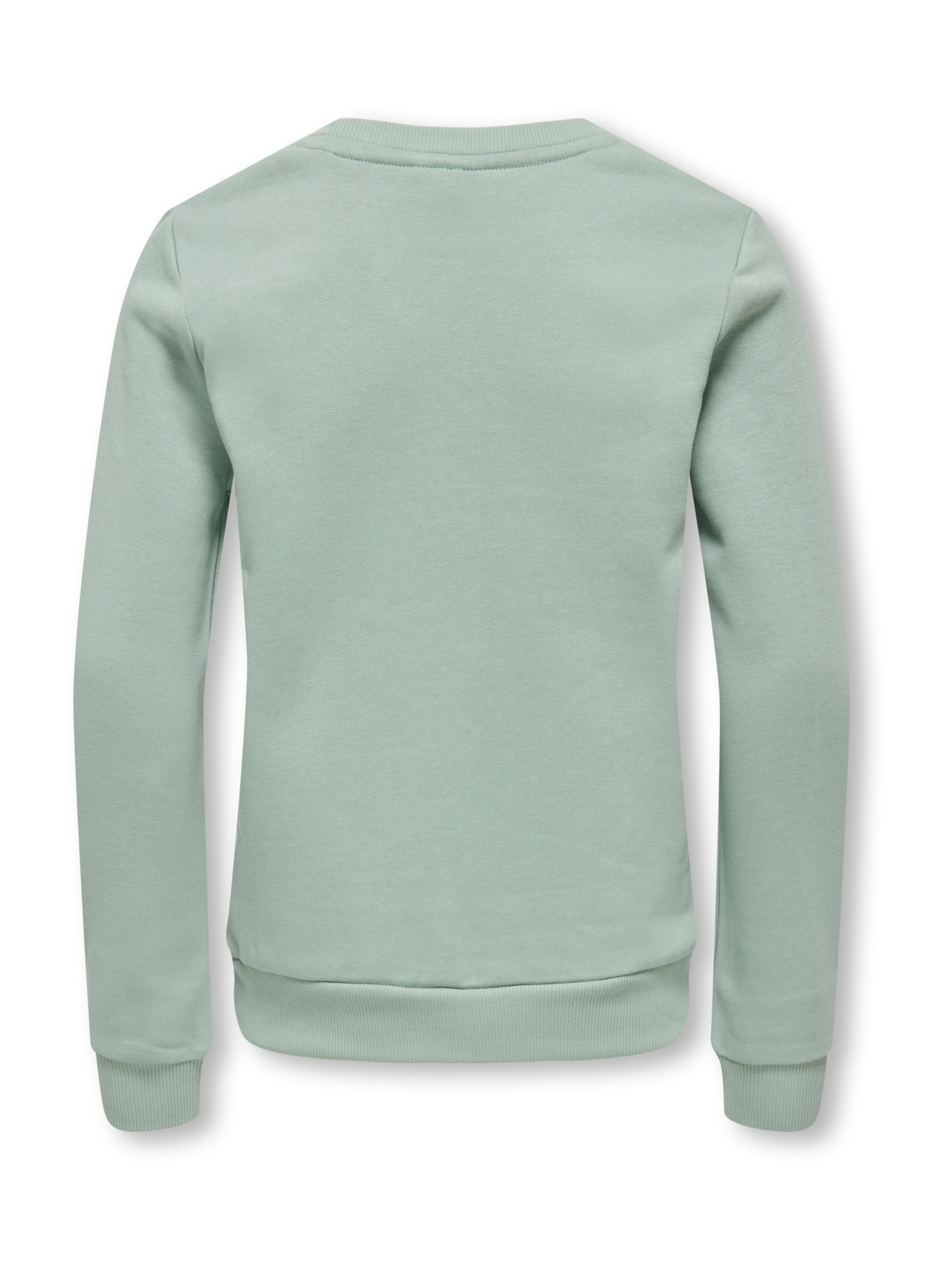 ONLY GIRLS - Sudadera 'KOGMARY' en verde