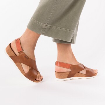 PIKOLINOS Sandals in Brown: front