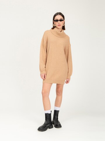 Influencer Pullover in Beige