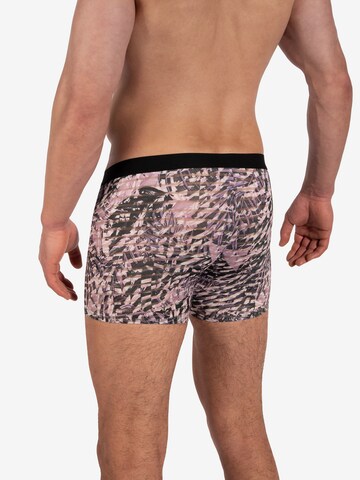 Boxers Olaf Benz en violet