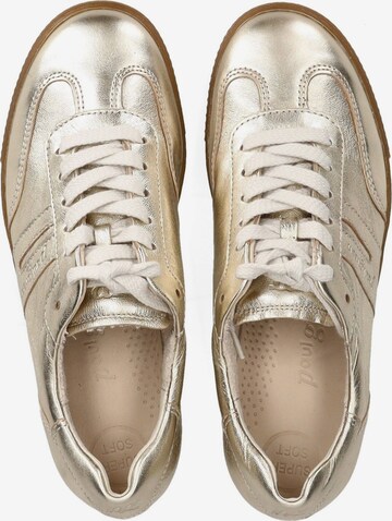 Paul Green Sneakers in Gold