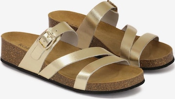 Kazar Pantolette in Gold