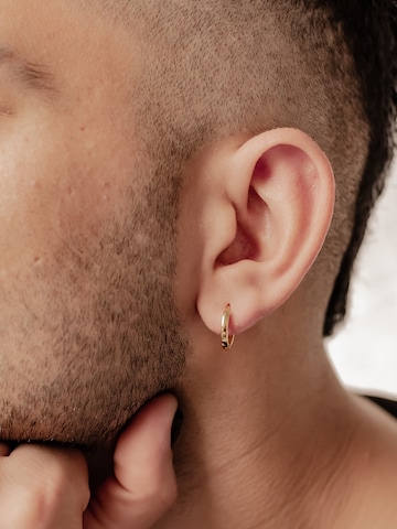 Hey Happiness Earring 'Band' in Gold: front
