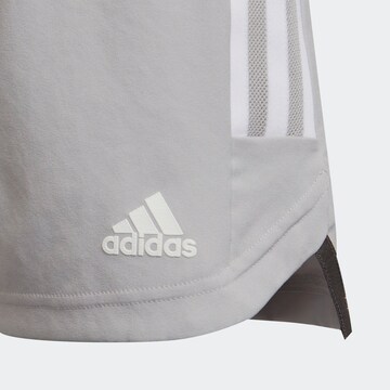 ADIDAS PERFORMANCE Regular Shorts in Grau