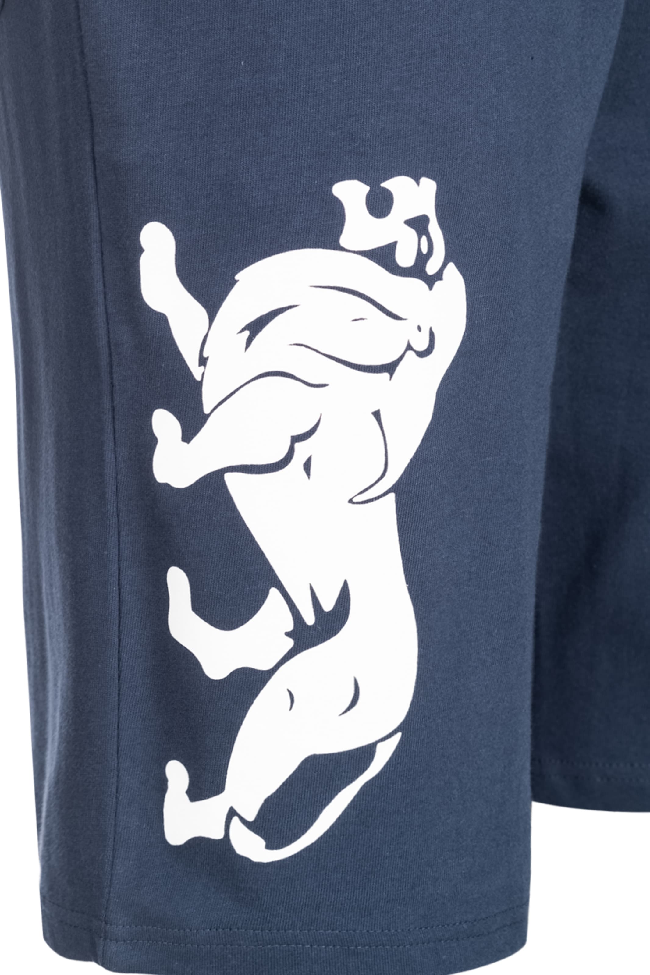 LONSDALE Regularen Hlače 'Badnagie' | modra barva