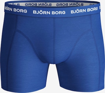 BJÖRN BORG Boxer shorts 'Solid' in Blue