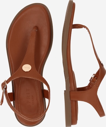 ESPRIT T-Bar Sandals in Brown