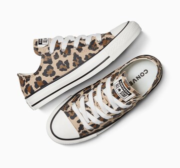 Baskets 'Ctas OX' CONVERSE en beige