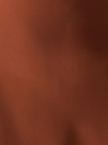 Willa Φόρεμα 'SALEM' σε καφέ