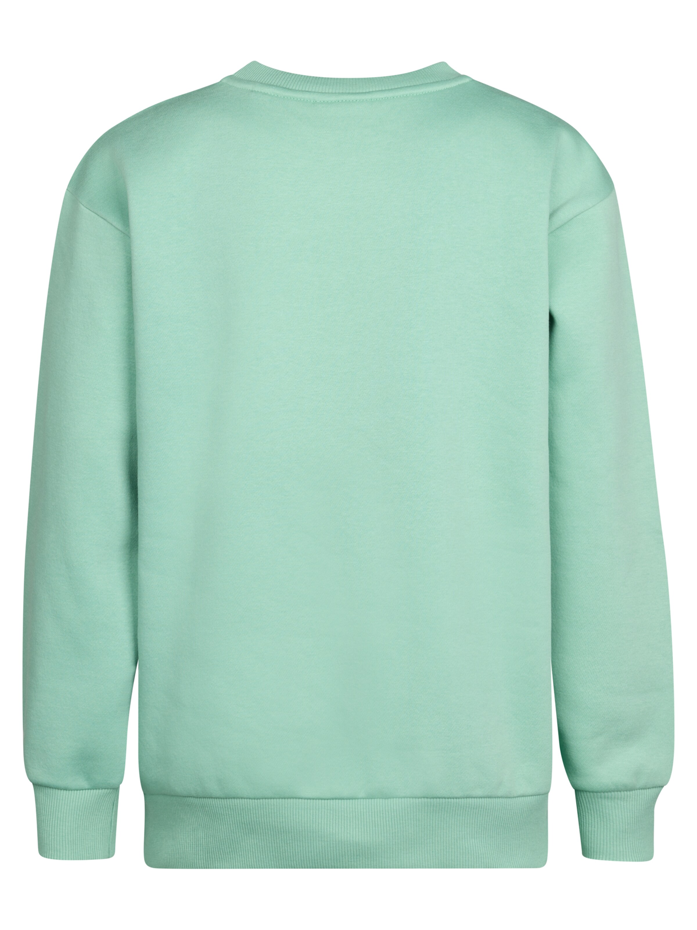 Petrol Industries Sweatshirt in Groen