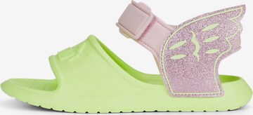 PUMA Sandal 'Divecat V2' in Green: front