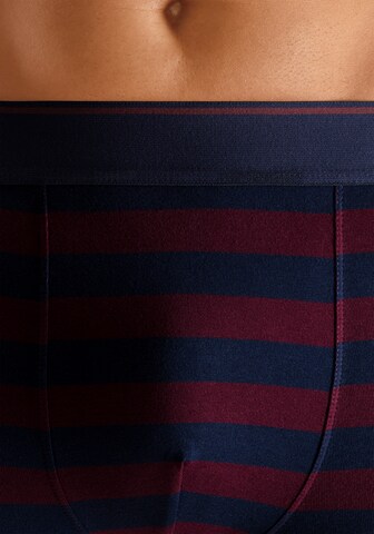 Boxers s.Oliver en bleu