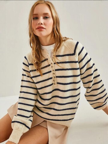Bianco Lucci Sweater in Beige
