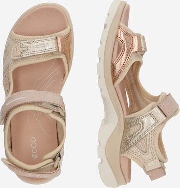 ECCO Trekkingsandal 'Offroad' i brun