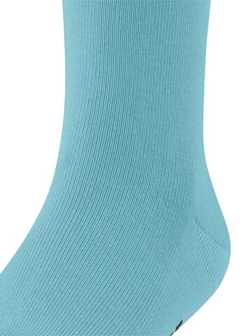 FALKE Socks 'Family' in Blue