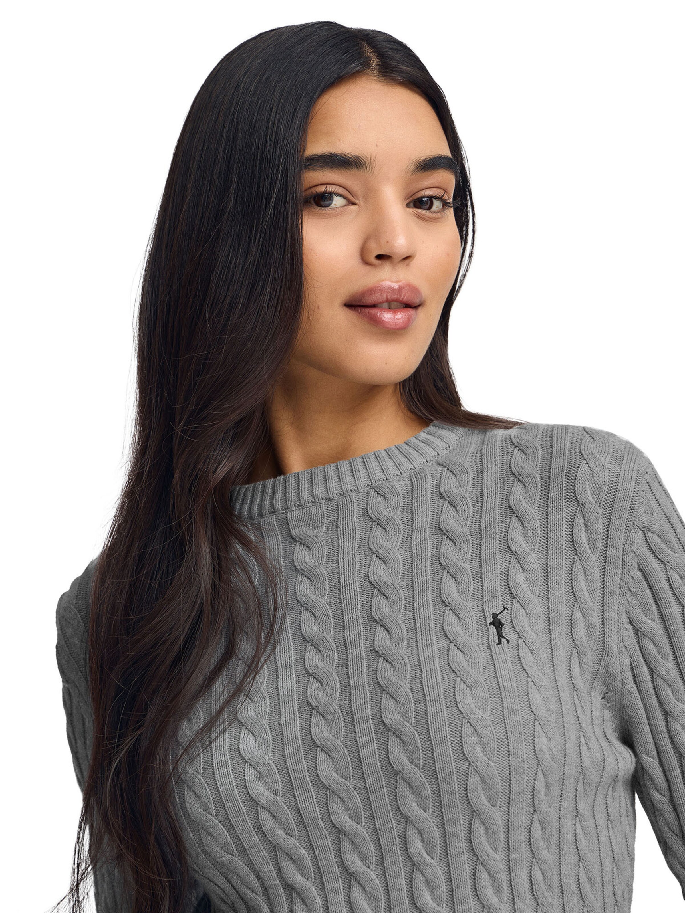 Polo Club Pullover in Grau