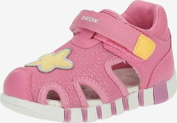 GEOX Sandals & Slippers in Pink: front