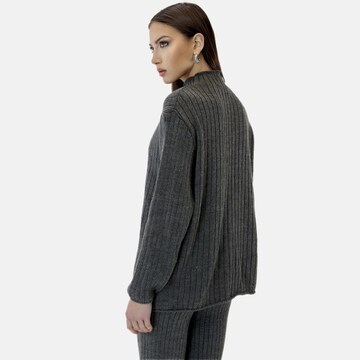 Pantalons de tailleur Elara en gris