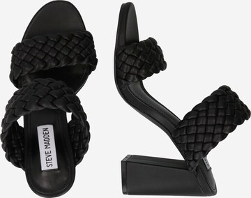 STEVE MADDEN Sandals in Black